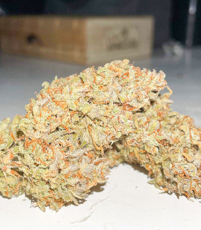 Семена сорта Strawberry Pie Auto fem (FastBuds)