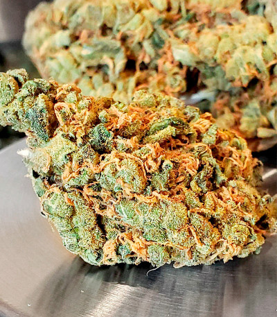 Семена сорта Bruce Banner fem (Семяныч)