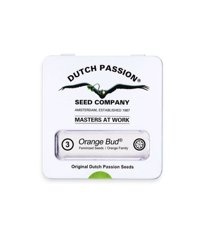 Семена конопли Orange Bud в оригинальной упаковке