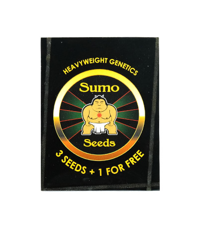 Семена сорта Sumo's OG Kush fem (Sumo Seeds)