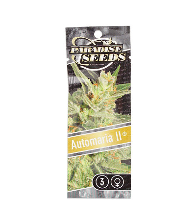 Семена сорта Automaria II fem (Paradise Seeds)