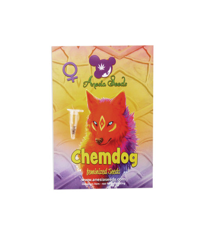 Семена сорта Chemdog fem (Anesia Seeds)