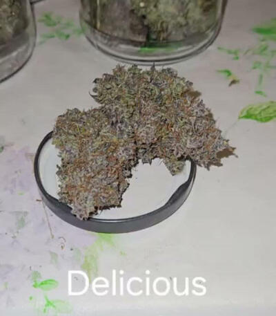 Семена сорта Delicious Candy Auto fem (Delicious Seeds)