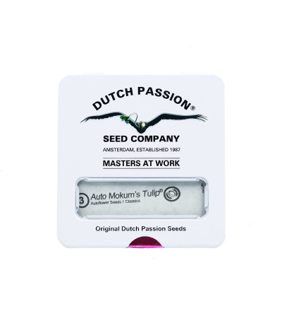 Семена сорта Auto Mokum's Tulip fem (Dutch Passion)
