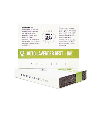 Семена сорта Auto Lavender Best fem
