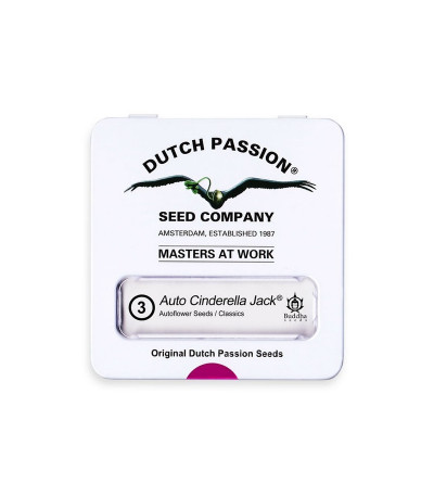 Семена конопли Auto Cinderella Jack в оригинальной упаковке