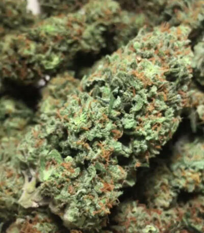 Семена сорта Smoothie Auto fem (FastBuds)