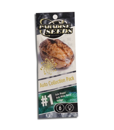 Микс семян конопли Auto Collection Pack #1 fem (Paradise Seeds)