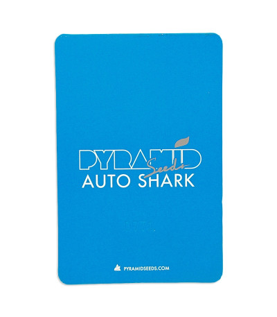 Семена сорта Auto Shark fem (Pyramid Seeds)