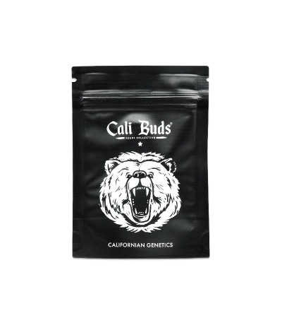 Семена сорта Bruce Banner Auto fem (Cali Buds Seeds)