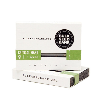 Семена сорта Critical Mass fem (Bulk Seed Bank)