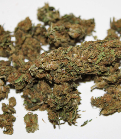 Семена сорта Original Auto Sour Diesel fem (FastBuds)