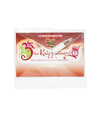 Семена сорта Sonic Bloom Auto fem (Dr. Krippling Seeds)