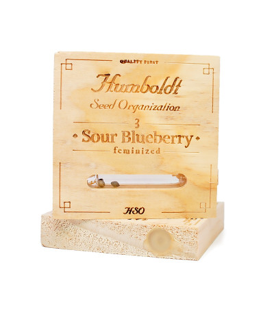Семена сорта Sour Blueberry fem (Humboldt Seeds)