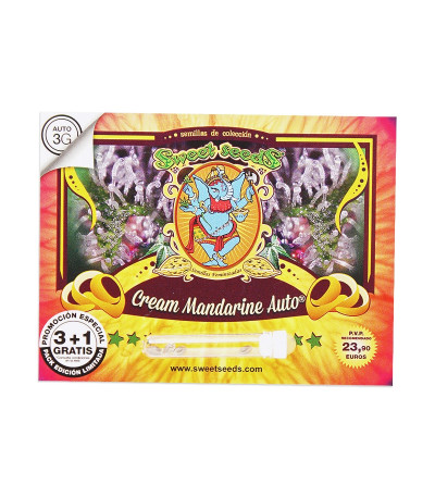 Семена сорта Cream Mandarine Auto fem (Sweet Seeds)