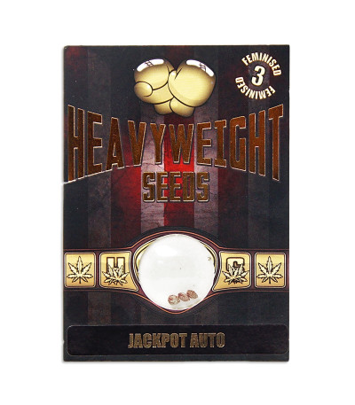 Семена сорта Jackpot Auto fem (Heavyweight Seeds)