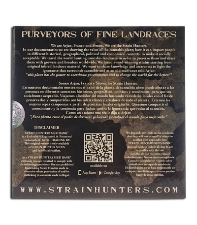 Семена сорта Damnesia Autoflowering fem (Strain Hunters)