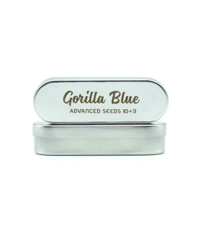 Семена сорта Gorilla Blue fem (Advanced Seeds)