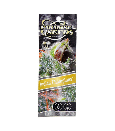 Микс семян конопли Indica Champions Pack fem (Paradise Seeds)