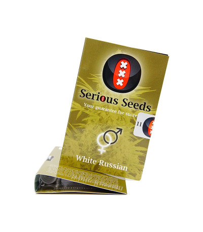 Семена конопли White Russian reg в оригинальной упаковке
