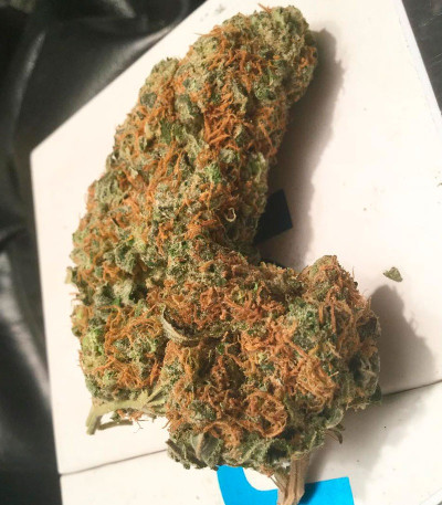 Семена сорта Afghan Cow fem (Dr. Krippling Seeds)