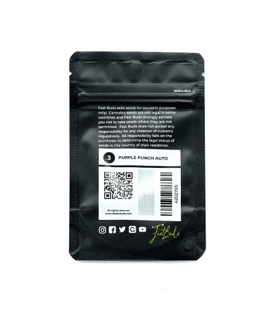 Семена сорта Purple Punch Auto fem (FastBuds)