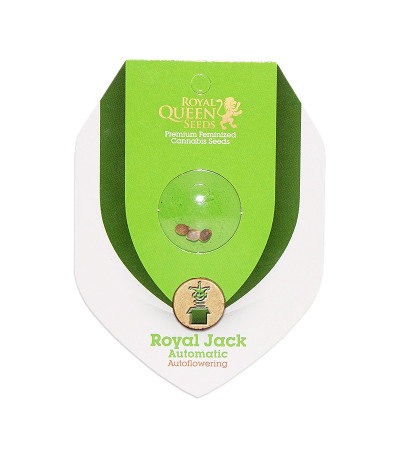 Семена сорта Royal Jack Automatic fem (Royal Queen Seeds)