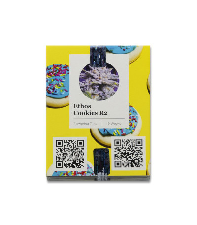 Семена сорта Ethos Cookies R2 fem (Ethos Genetics)