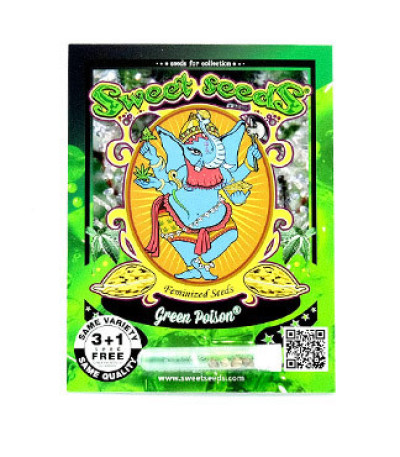 Семена сорта Green Poison fem (Sweet Seeds)