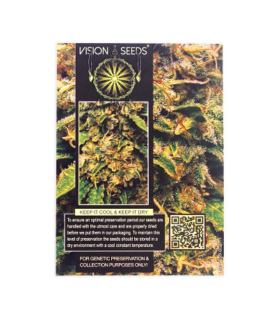 Семена сорта Vision Critical Auto Fem (Vision Seeds)