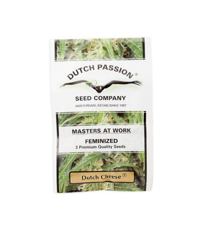 Семена конопли Dutch Cheese 3 в оригинальной упаковке
