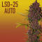Семена сорта LSD-25 Auto fem