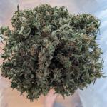 critical-kush-auto-critical-rapido-auto-fem-barneys-farm.jpg