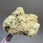 marshmallow-og-fem-compound-genetics.jpg