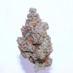 orange-apricot-glue-xl-auto-fem-sweet-seeds.jpg