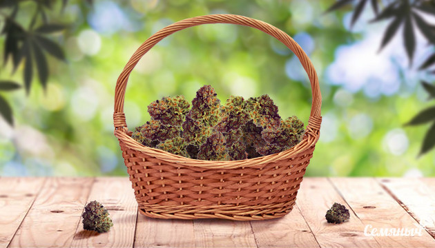 Как получить больше урожая