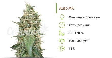 Auto AK от сидбанка Семяныч